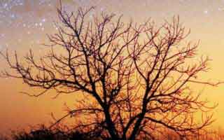 运营同事悄悄说：你以为51视频网站只是界面不同？其实字幕节拍才是关键