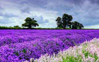 详细阅读:运营同事悄悄说:你以为51视频网站只是界面不同?其实字幕节拍才是关键 运营同事悄悄说:你以为51视频网站只是界面不同?其实字幕节拍才是关键